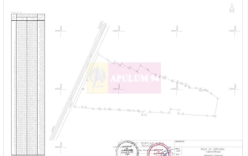 Teren 40ha Adunatii Copaceni | Industrial/ Logistic